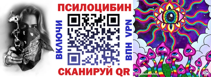 Галлюциногенные грибы Psilocybine cubensis Козельск